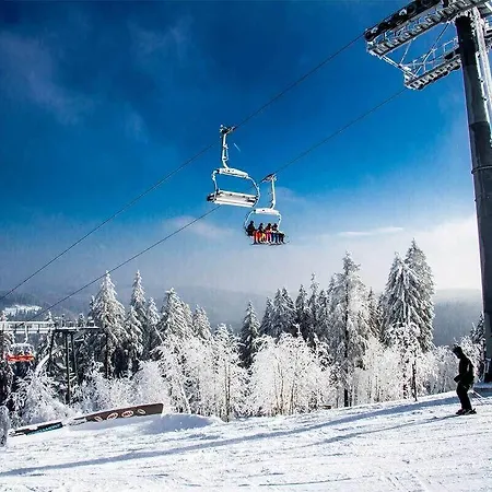 Parklife * Winterberg