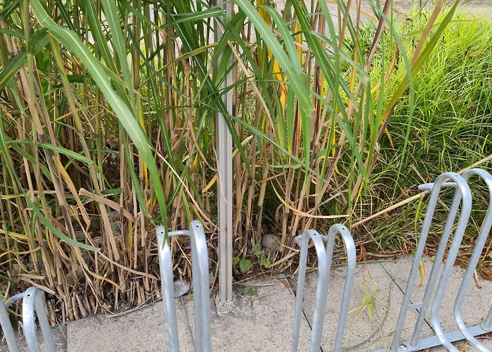 Appartement Parklife Winterberg